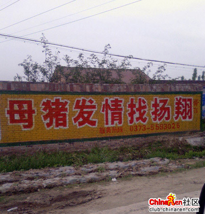 当年农村那些彪悍标语 抢劫不如去炒股(组图)